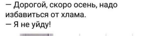 Дорогой скоро осень надо избавиться от хлама Я не уйду