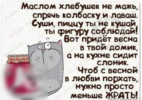 Мослом хлебушек не мажь спрячь колбаску и лаваш Суши пиццу ты не кушай ты фигуру соблюдай Вот придет весна в твой домик 0 На кухне СИДИТ СЛОНИК Чтоб с весной в любви порхоть нужно просто меньше Ь