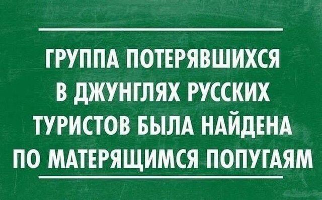 ГРУППА ПОТЕРЯВШИХСЯ В дЖУНГЛЯХ РУССКИХ ТУРИСТОВ БЫЛА НАЙДЕНА ПО МАТЕРЯЩИМСЯ ПОПУГАЯМ