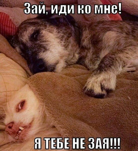 Е НЕ ЗдН