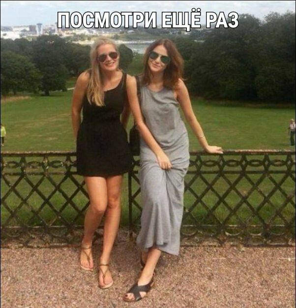 Шфтрд