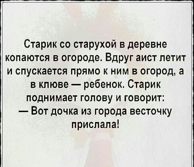 Старик со старухой в деревне копаются в огороде Вдруг аист петит и опускается прямо к ним в огород а в клюве ребенок Старик поднимает голову и говорит Вот дочка из города весточку прислала