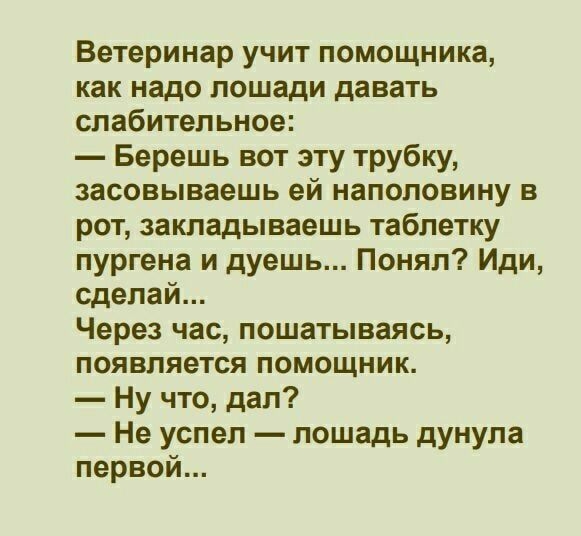 Ветеринар учит помощника как надо лошади давать слабительное Берешь вот эту трубку засовываешь ей наполовину в рот закладываешь таблетку пургена и дуешь Понял Иди сделай Через час пошатываясь появляется помощник Ну что дал Не успел лошадь дунула первои