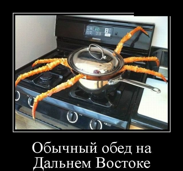 Обычный обед на Дальнем Востоке