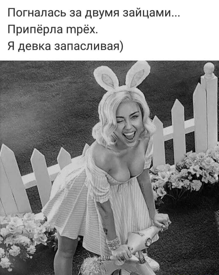 Погналась за двумя зайцами Припёрла трёх Я девка запасливая