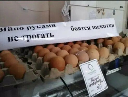 в іі по ру шк 1