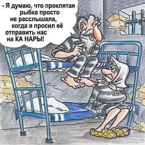 Я думаю что проклятая рыбка просто не расслышала когда я просил её отправить нас на КА НАРЫ