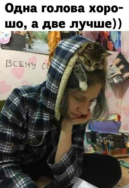Одна голова хоро шо а две лучше