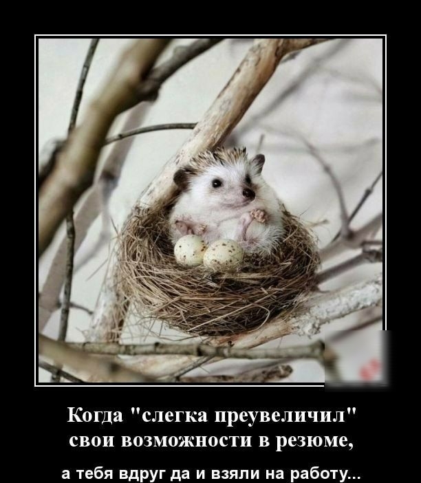 Когда слегка преувеличил свои возможности в резюме а тебя вдруг да и взяли на работу