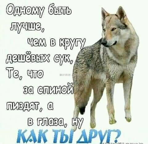 0 Та ЁТЁЛЩЧ7 амп ши Ш