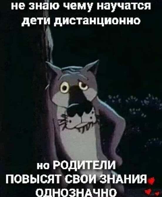 не знаю чему научатся дети дистанционно ОДНОЗНАЧНО