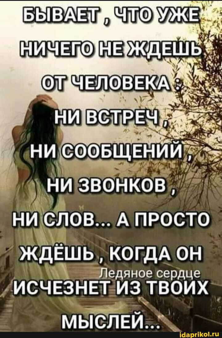 БЫВАЕТ УЖ ничвго ждЕщЬд ЧЕЛОВЕКА ни звонков НИЧСЛОВ А ПРОСТО ЖдЁШЬ КОГДА он Ледяное сердце ИСЧЕЗНЕТ ИЗ ТВОИХ МЫСЛЕЙ_ у