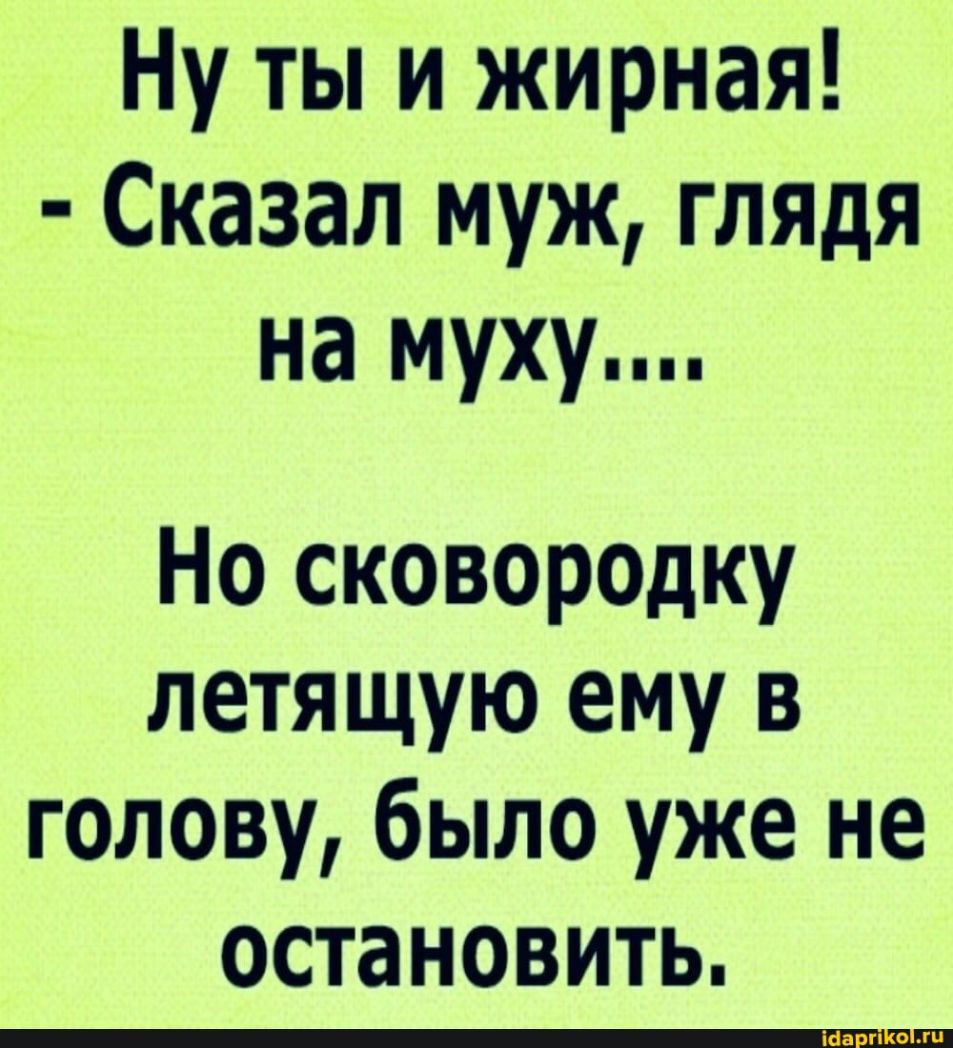 Ну ты и жирная Сказал муж глядя на муху Но сковор0дку летящую ему в голову было уже не остановить