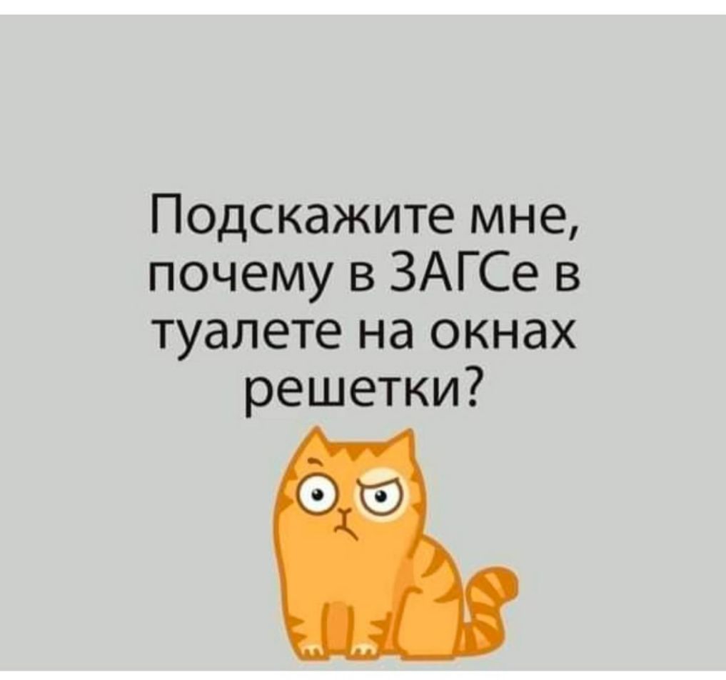 Подскажите мне почему в ЗАГСе в туалете на окнах решетки