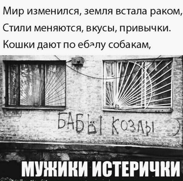 Мир изменился земля встала раком Стили меняются вкусы привычки Кошки дают по ебялу собакам _ ___ч _тдіа чи ь 7