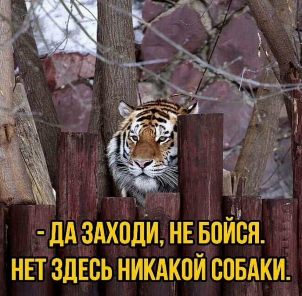 ИА ЗАХПДИ ИЕ ИОИВЯ НЕТ ЗДЕСЬ НИКАКОЙ ВВБАКИ