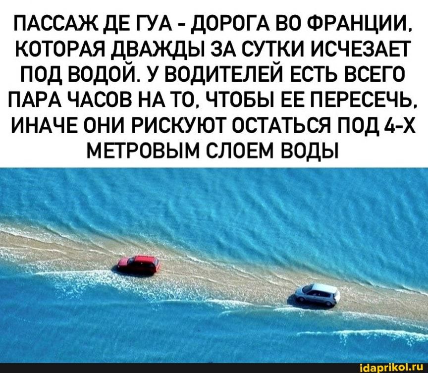 ПАССАЖ дЕ ГУА ДОРОГА во ФРАНЦИИ КОТОРАЯ ДВАЖДЫ ЗА сутки исчвзмгг под водой у ВОДИТЕЛЕЙ ЕСТЬ ВСЕГО ПАРА ЧАСОВ НА то чтовы ЕЕ ПЕРЕСЕЧЬ ИНАЧЕ они рискуют ОСТАТЬСЯ под 4 х мь гровым словм воды