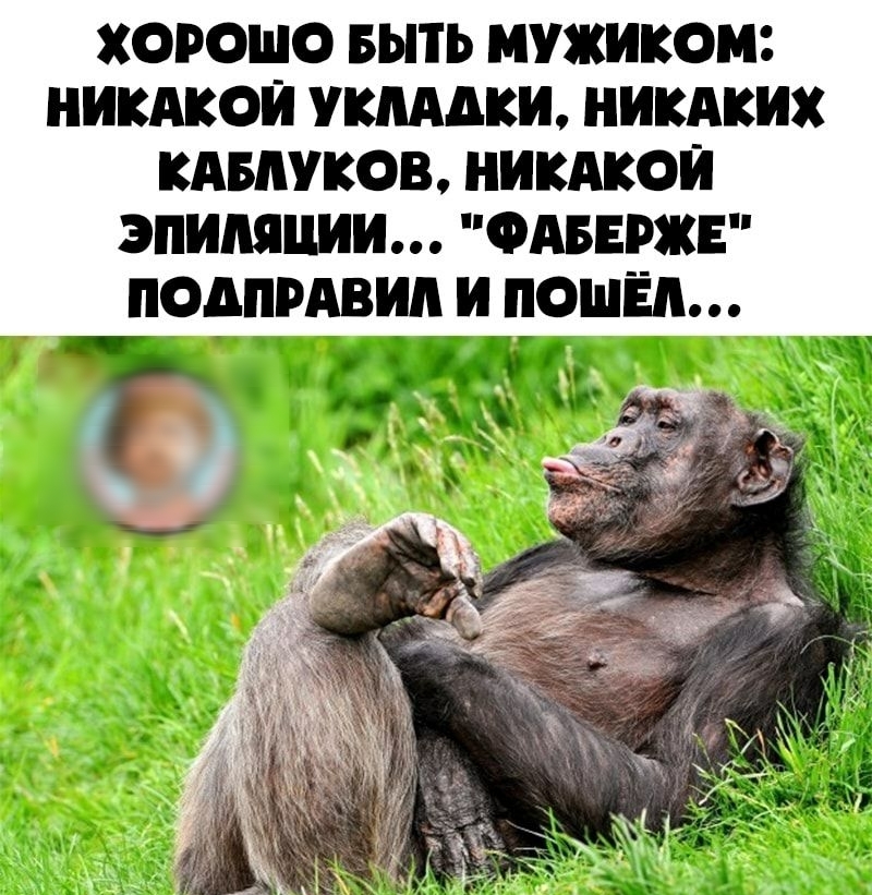 ХОРОШО БЫТЬ МУЖИКОМ НИКАКОИ УКПААКИ НИКАКИХ КАБАУКОВ НИКАКОИ ЭПИМЦИИ ФАБЕРЖЕ ПОАПРАВИА И ПОШЁЛ