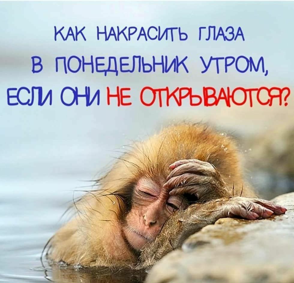 КАК НАКРАСИГЬ ГЛАЗА В ПОНЕДЕЛЬНИК УТРОМ