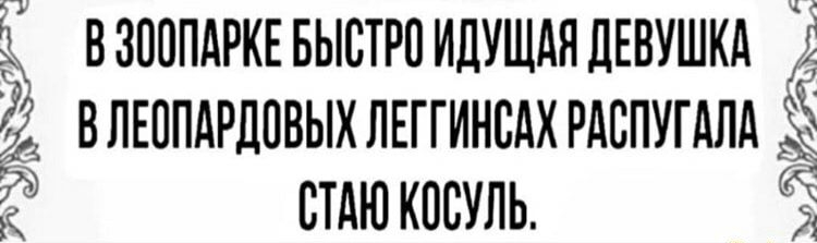 Е ВЗПОПАРКЕБЫСТРОИДУЩАНДЕВУШКА ЕЁ ВЛЕППАРДПВЫХЛЕГГИНСАХРАВПУГАЛА стдюкпсуль