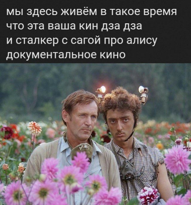 мы здесь живём в такое время что эта ваша кин дза дза и сталкер с сагой про алису документальное кино