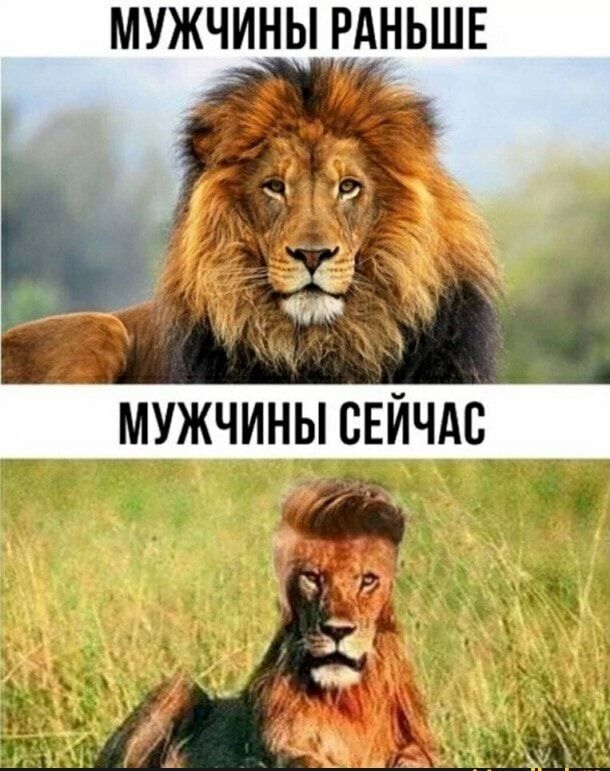 МУЖЧИНЫ РАНЬШЕ