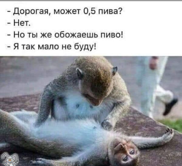 Дорогая может 05 пива Нет Но ты же обожаешь пиво Я так мало не буду