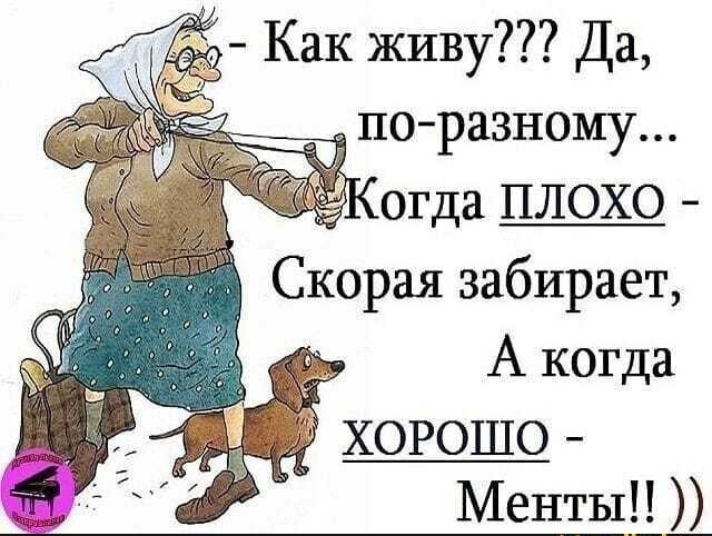 Как живу Да поразному огда ПЛОХО Скорая забирает А когда хорошо Менты