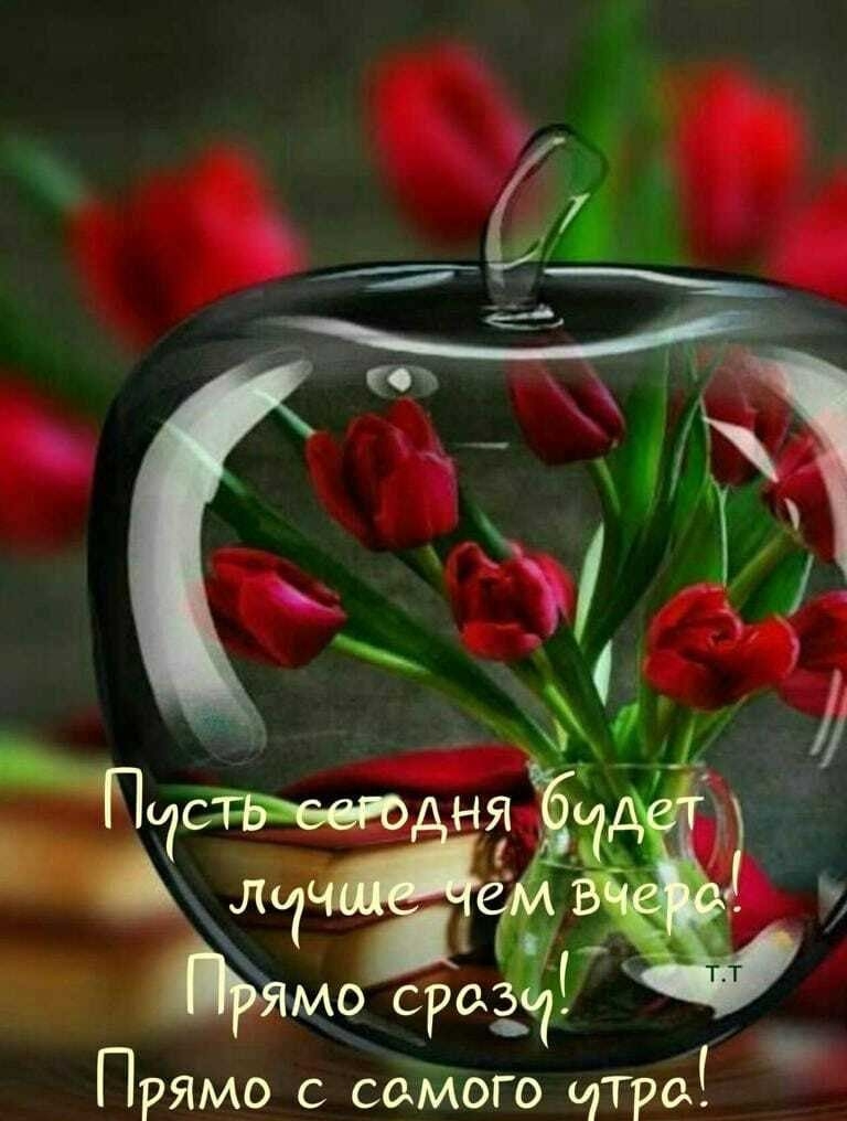 Прямо сайого ппро