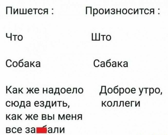 Пишется Произносится Что Што Собака Сабака Как же надоело Доброе утро сюда ездить коллеги как же вы меня все заіали
