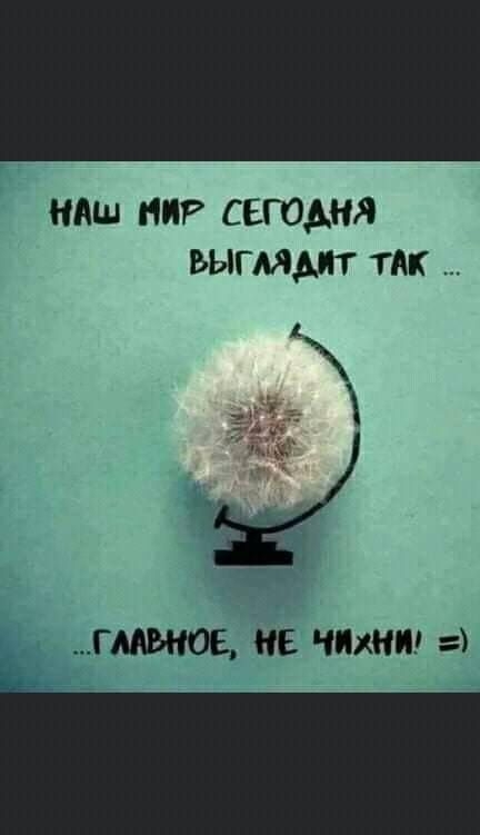 ндш нп сегодня ьыгммт так ГЛАВНОЕ КЕ ЧИЖ