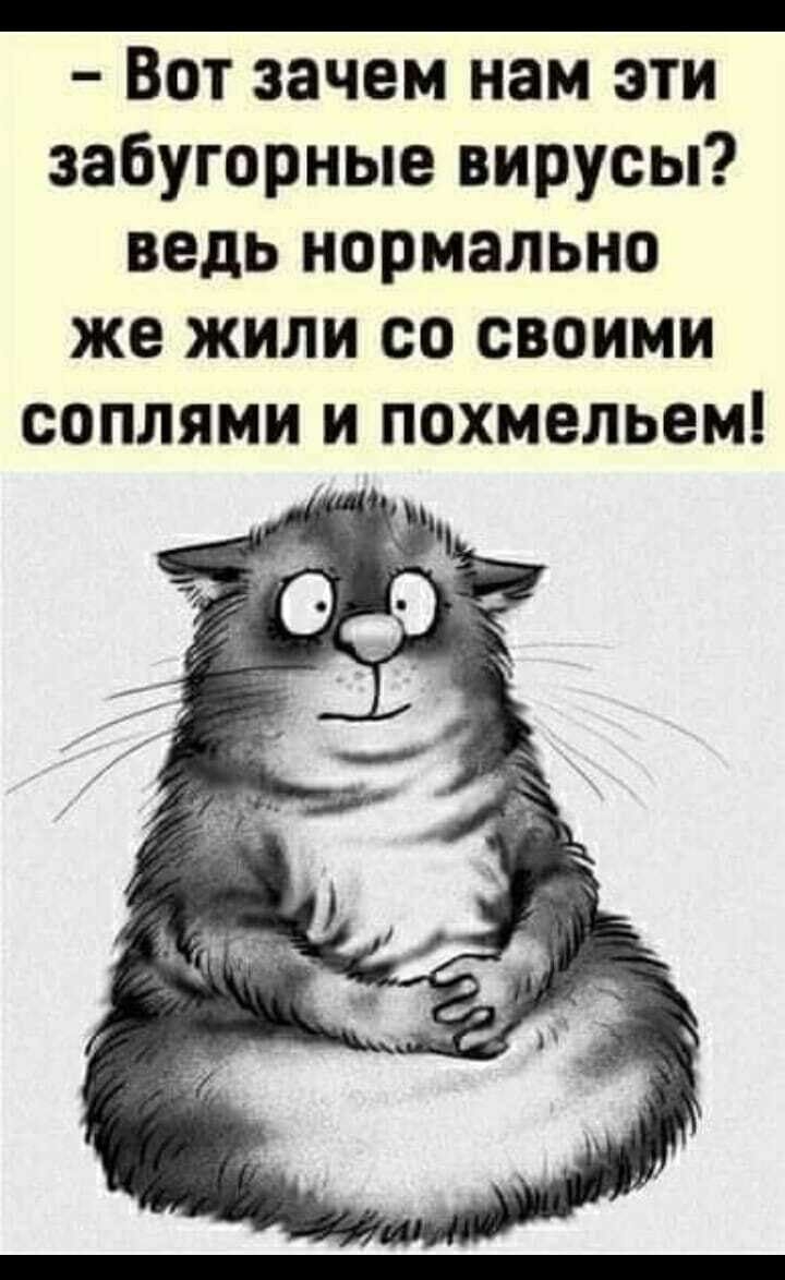 _ Вот зачем нам эти забугорные вирусы ведь нормально же жили со своими соплями и похмельем