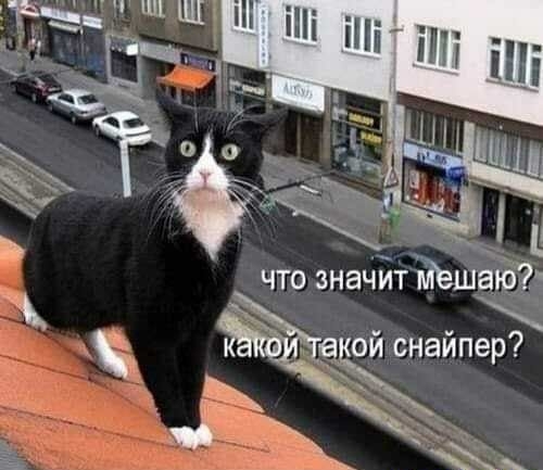 _ и что значит тащат ой снайпер