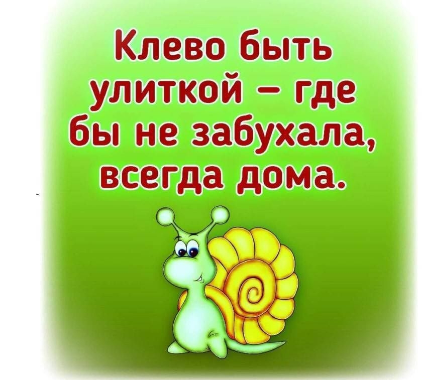 Клево быть улиткой где бы не забухала всегда дома