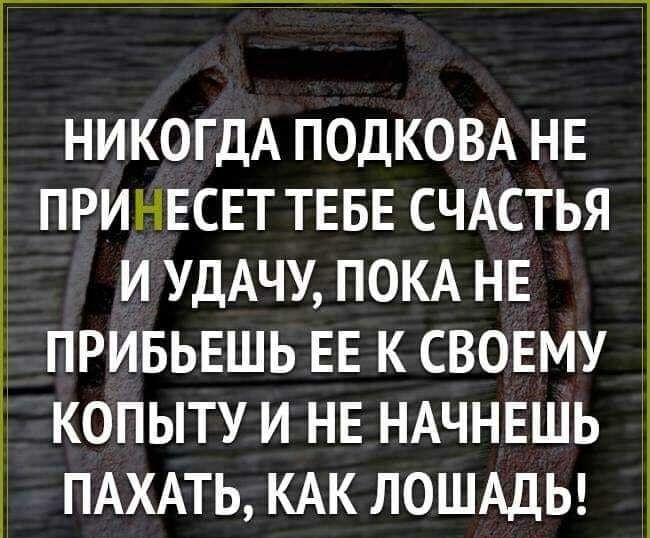 НИКОГДА ПОДКОВА НЕ ПРИНЕСЕТ ТЕБЕ СЧАСТЬЯ и УДАЧУ ПОКА НЕ ПРИБЬЕШЬ ЕЕ К СВОЕМУ 1 копыту и НЕ НАЧНЕШЬ 1 ПАХАТЬ КАК ЛОШАДЬ т 1