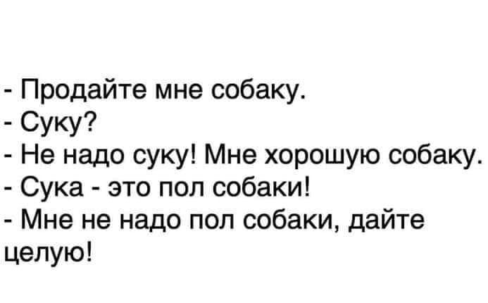 Продайте мне собаку Суку Не надо суку Мне хорошую собаку Сука это пол собаки Мне не надо пол собаки дайте целую