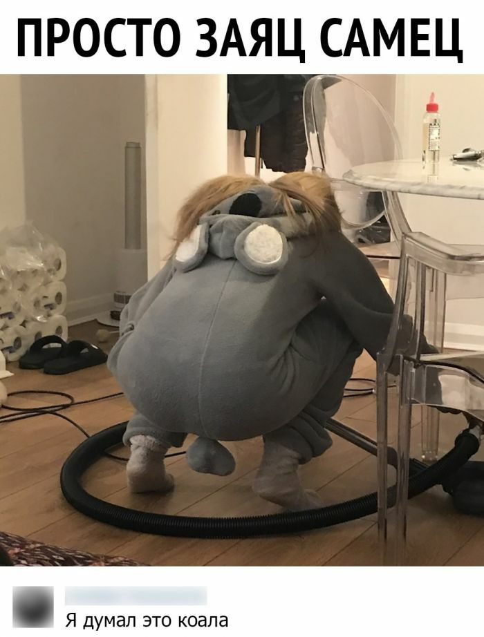 ПРОСТО ЗАЯЦ САМЕЦ