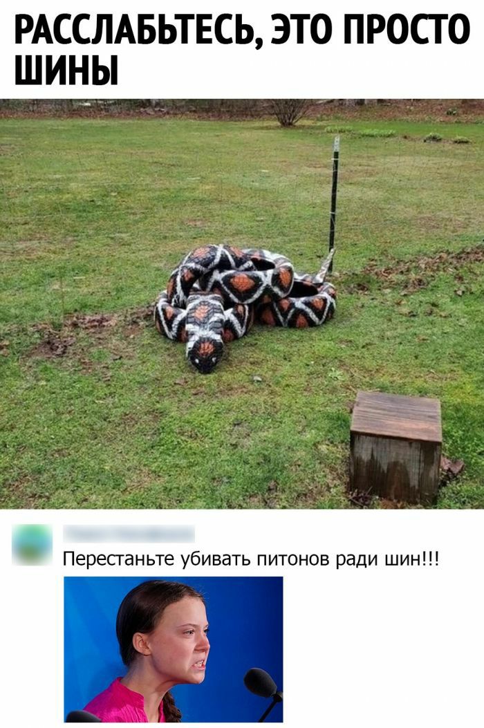 РАССЛАБЬТЕСЬ ЭТО ПРОСТО ШИНЫ Пересганьте убивать питонов ради шин