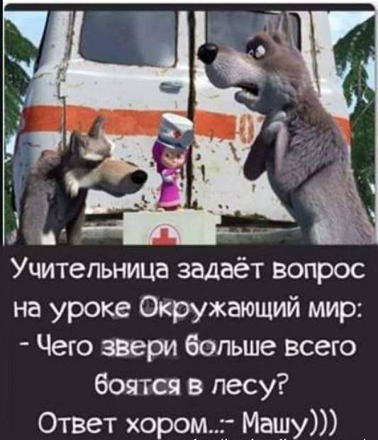 и Учительница задаёт вопрос на уроке Окружающий мир Чего звгри больше всего боятся в лесу Ответ хором Машу