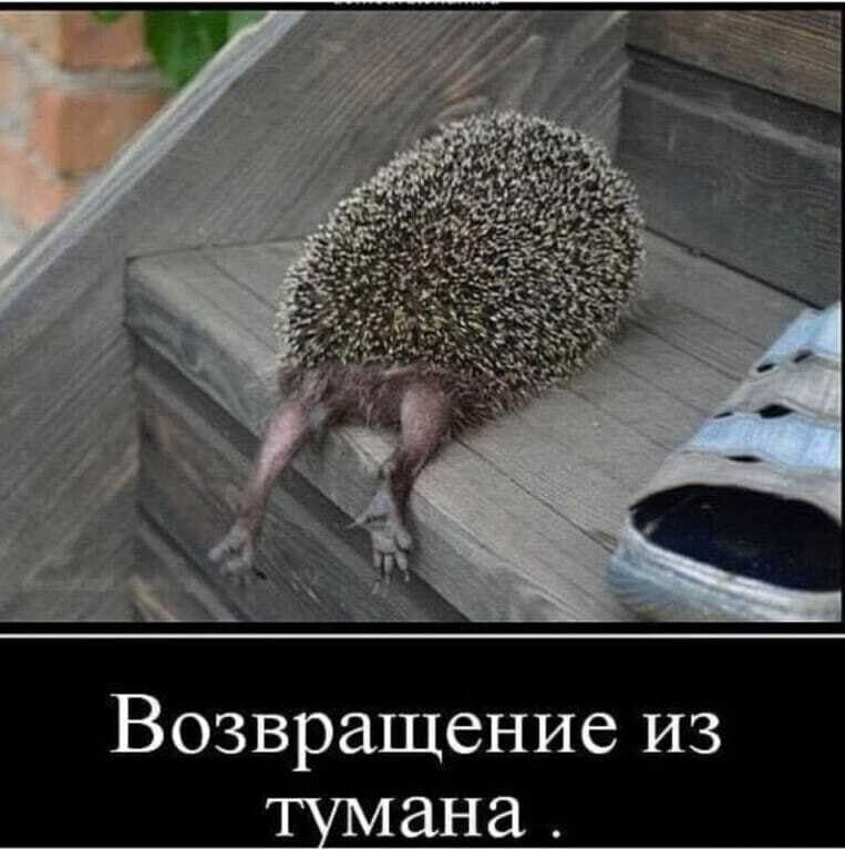 Возвращение из ана