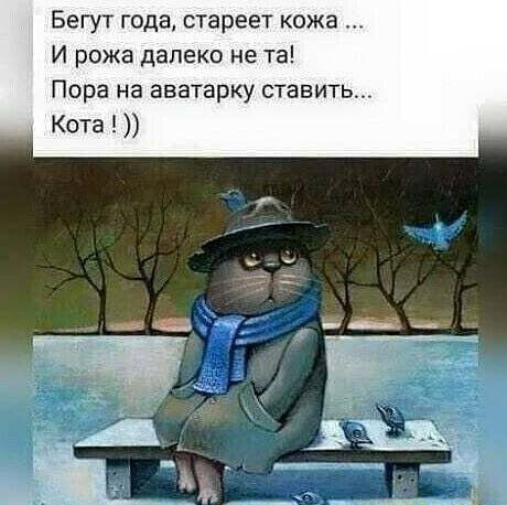 Бегут года стареет кожа И рожа далеко не та Пора на аватарку ставить Кота