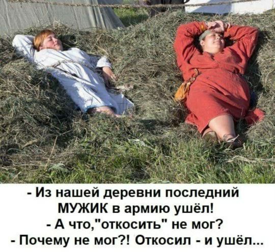 Из нашей деревни последний МУЖИК в армию ушёл А чтооткосить не мог Почему не мог Откосип и ушёл