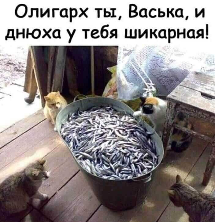 Олигарх ты Васька и днюха у тебя шикарная