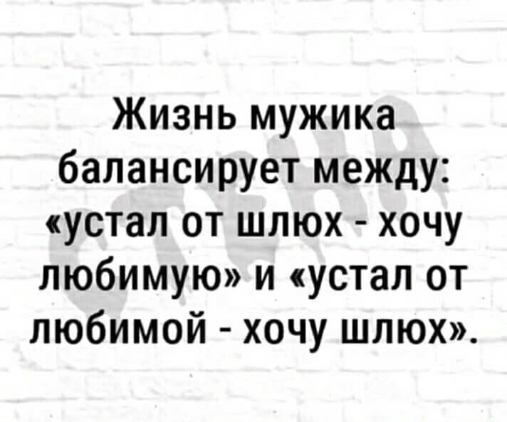 Жизнь мужика балансирует между устал от шлюх хочу любимую и устал от любимой хочу шлюх