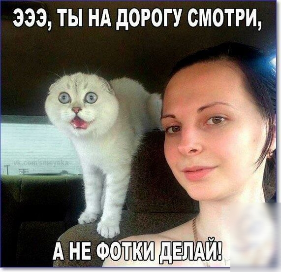 эээ ты НА дброгу смотри