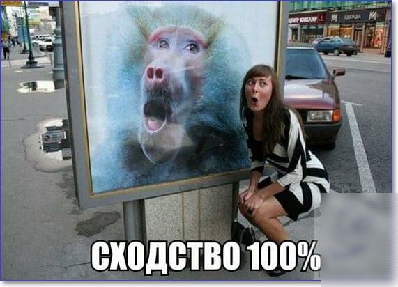 йскодетвочюоу