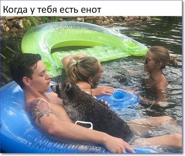 у тебя есть ено