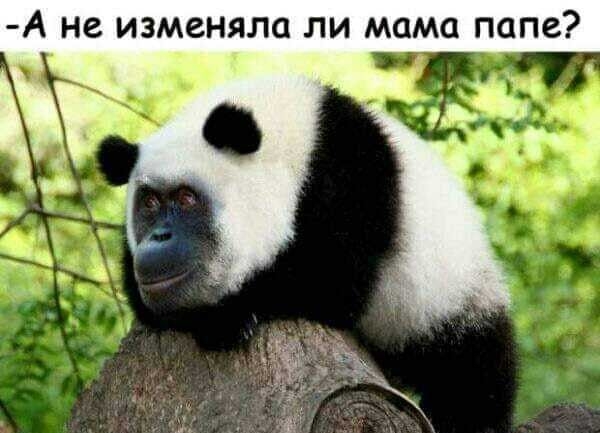 А не изменяла ли мама папе