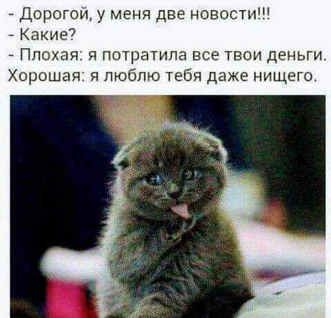 Дорогой у меня две новости Какие Плохая я потратила все твои деньги Хорошая я люблю тебя даже нищего
