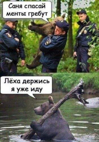менты гребу ч Лёха держись я уже иду а